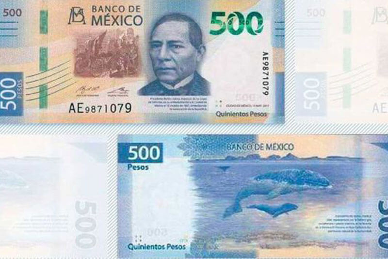 New 500 Peso Bill Features Gray Whale - Casa Bay Villas