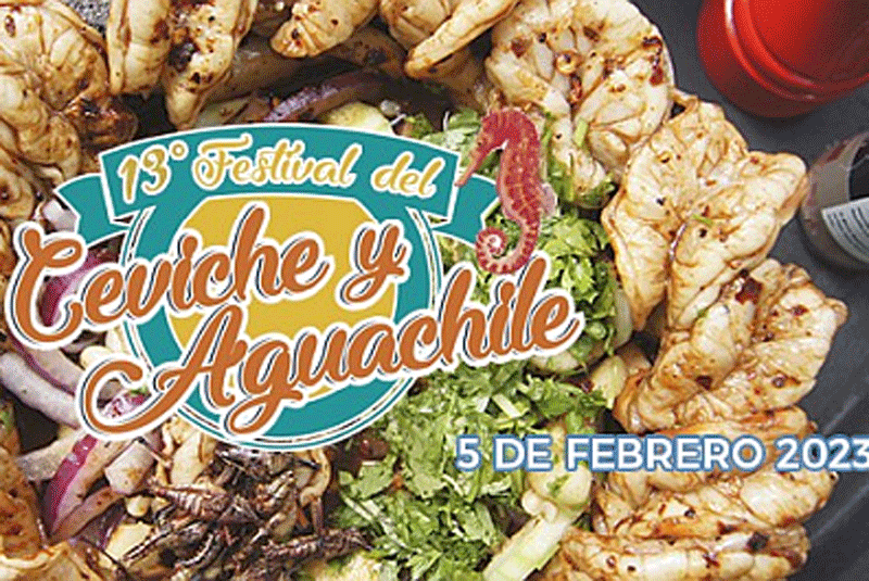 Puerto Vallarta Festival del Ceviche y Aguachile February 5th - Casa Bay  Villas